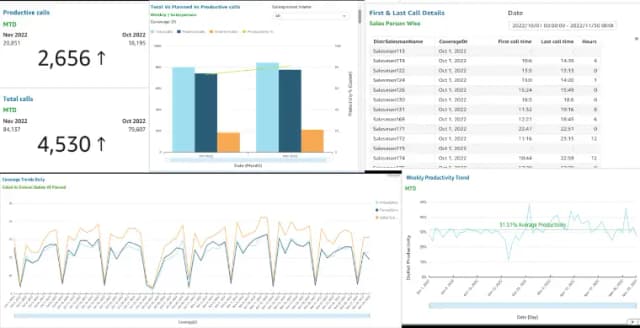 Botree sales-person-visibility